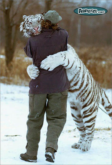 amour toujours